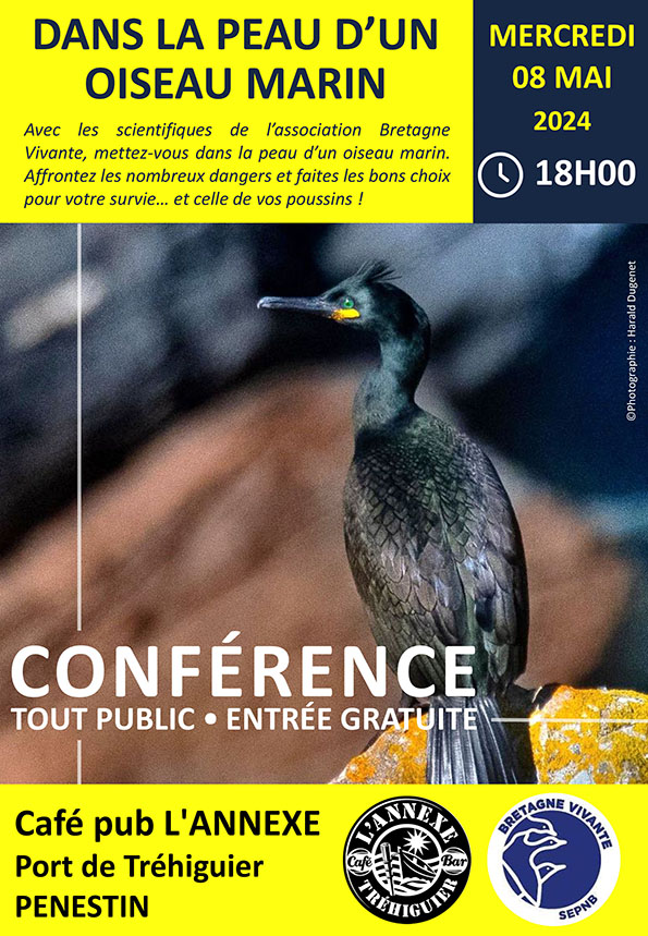 8 mai 18h - Conférence Dans la peau d'un oiseau marin